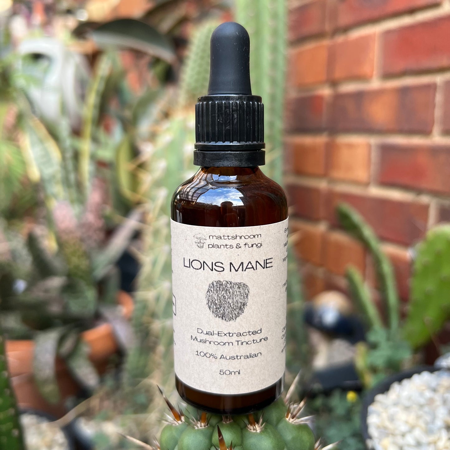 Lions Mane Mushroom Extract - 50ml