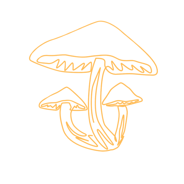 Mattshroom Plants & Fungi